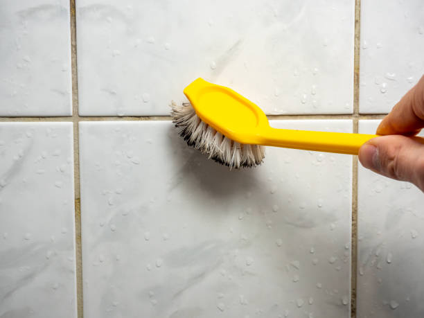 Best Residential Mold Remediation in Mannford, OK