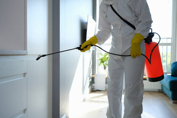 Best HVAC Mold Remediation in Mannford, OK