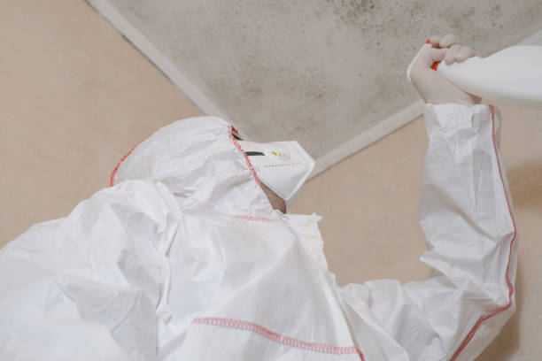 Professional Mold Remediation in Mannford, OK
