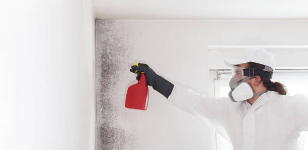 Best Preventive Mold Services in Mannford, OK