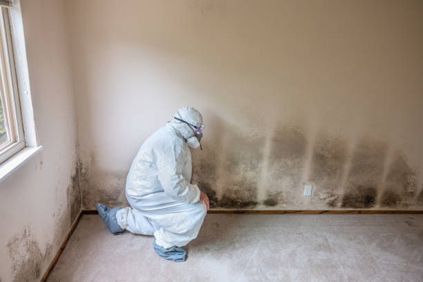 Best Industrial Mold Remediation in Mannford, OK